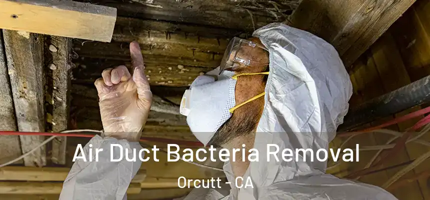  Air Duct Bacteria Removal Orcutt - CA