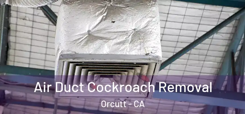  Air Duct Cockroach Removal Orcutt - CA