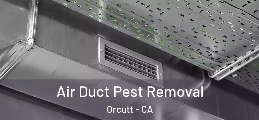  Air Duct Pest Removal Orcutt - CA
