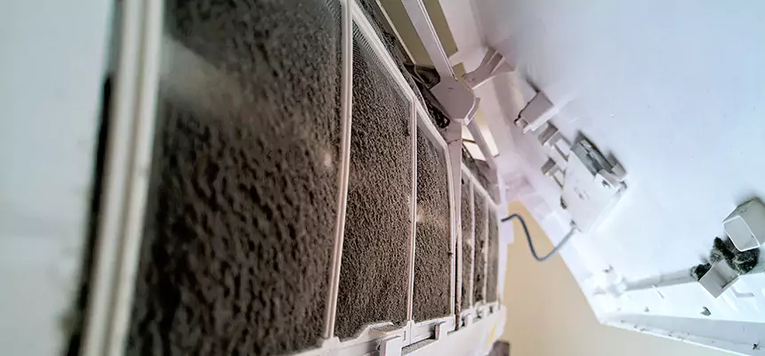 Preventive Air Duct Bacteria Removal in Orcutt