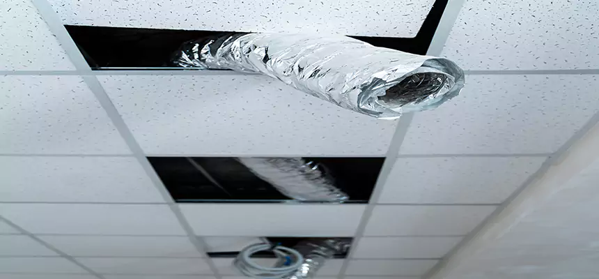 Our Air Duct Pet Hair Removal Services in Orcutt, CA