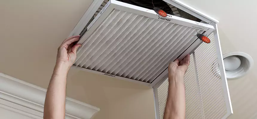 Our Insect Removal from Air Ducts Services in Orcutt, CA