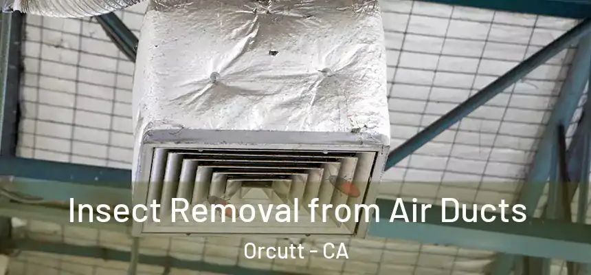  Insect Removal from Air Ducts Orcutt - CA