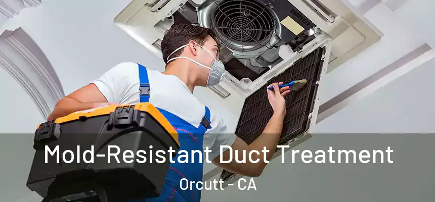  Mold-Resistant Duct Treatment Orcutt - CA