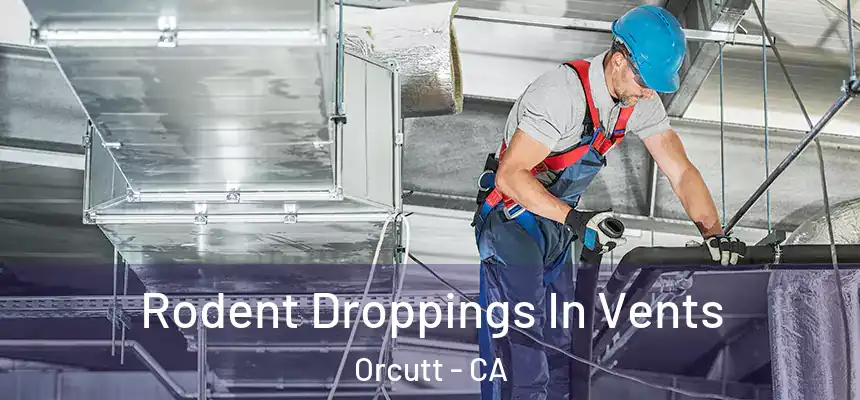  Rodent Droppings In Vents Orcutt - CA