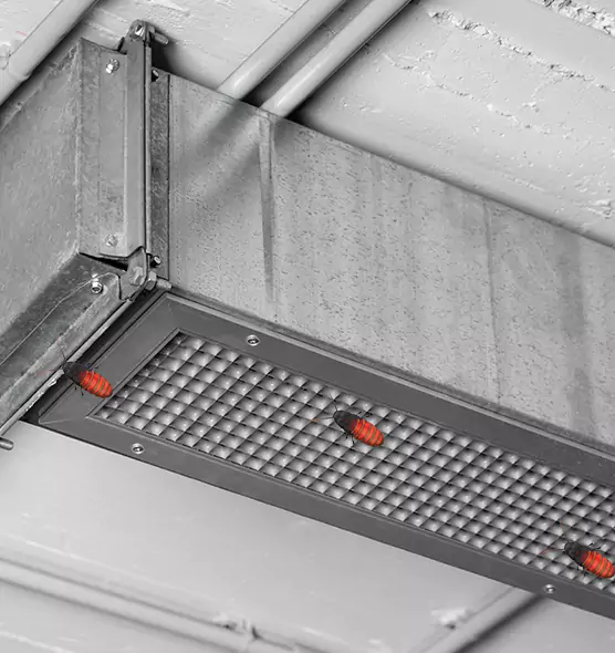 About Air Duct Cockroach Removal in Orcutt, CA