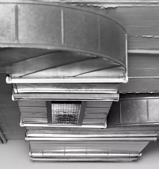 Professional Air Duct Pest Removal in Orcutt, CA