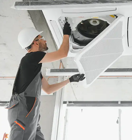 About Air Duct Rodent Removal in Orcutt, CA