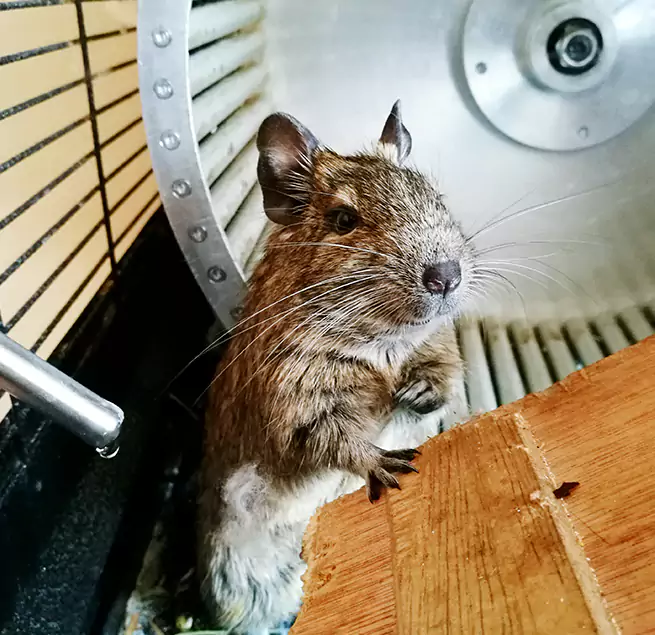 Why Homeowners & Businesses Trust Us Orcutt, CA