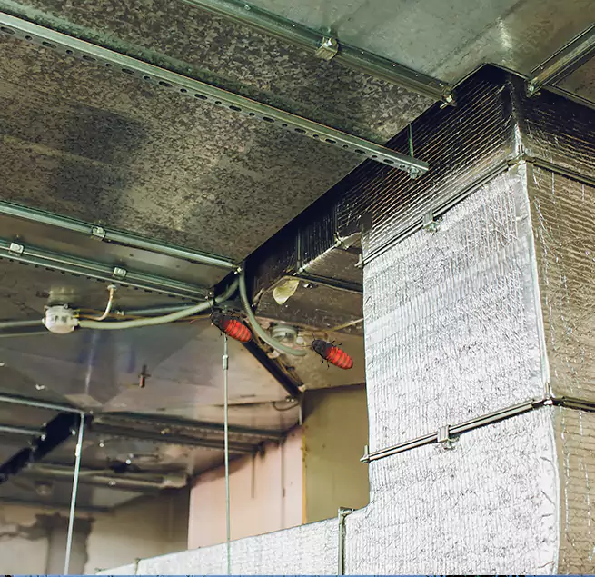 Why Homeowners & Businesses Trust Us Orcutt, CA?